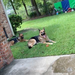 Meet your Posher, Colin